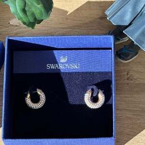 Swarovski Dextera Gold Crystal Pavé Hoop Earrings - New with Box